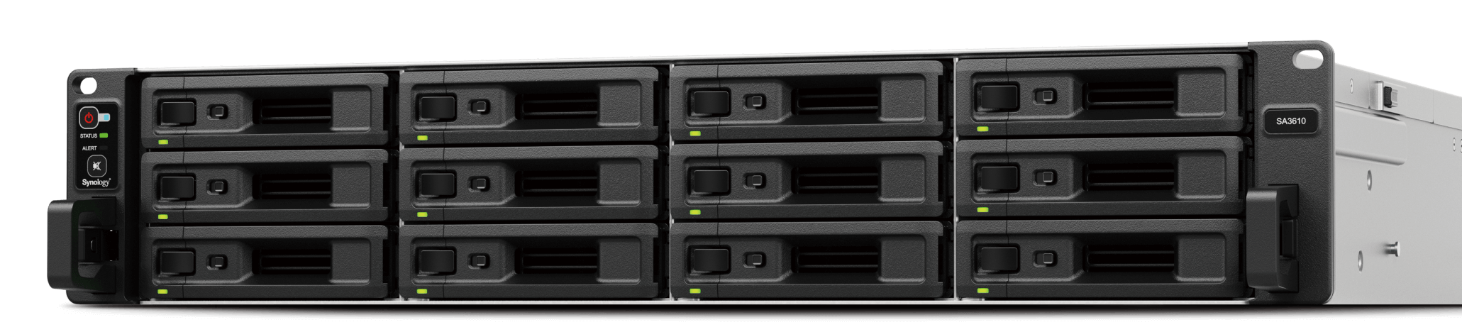 Synology SA3610